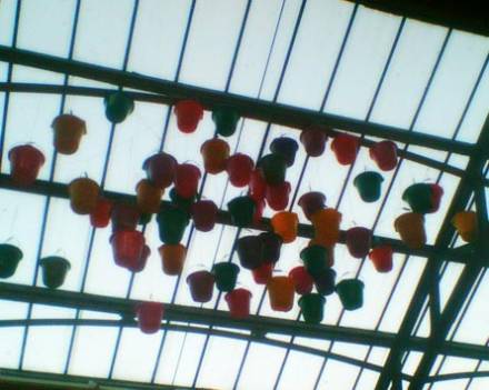buckets Buckets on the Ceiling, at Out of the Blue