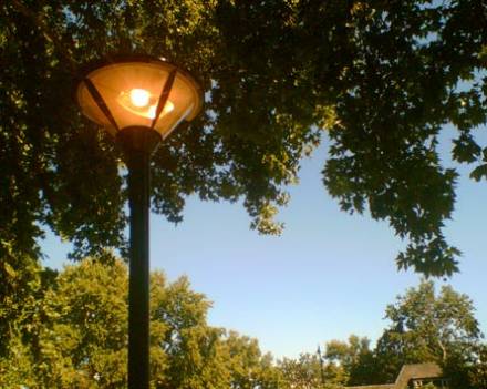 daylight A street lamp ablaze at 3pm